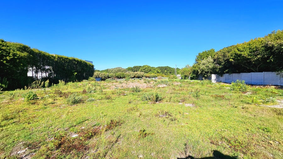 0 Bedroom Property for Sale in Voelklip Western Cape